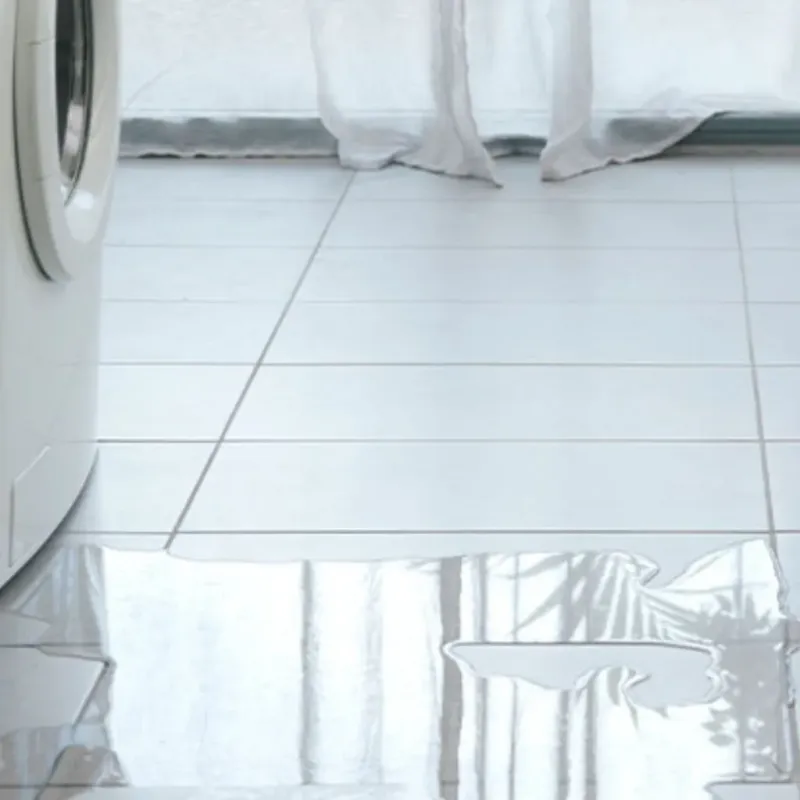 Appliance Leak Cleanup in Marshall County, IL