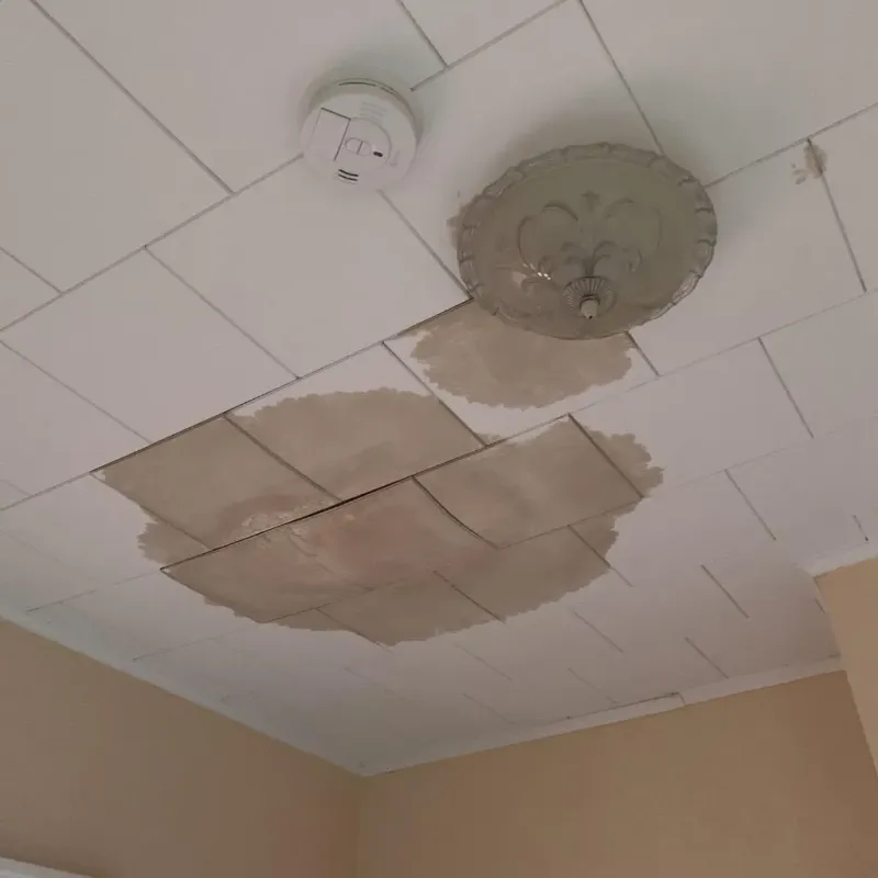 Ceiling Water Damage Repair in Marshall County, IL