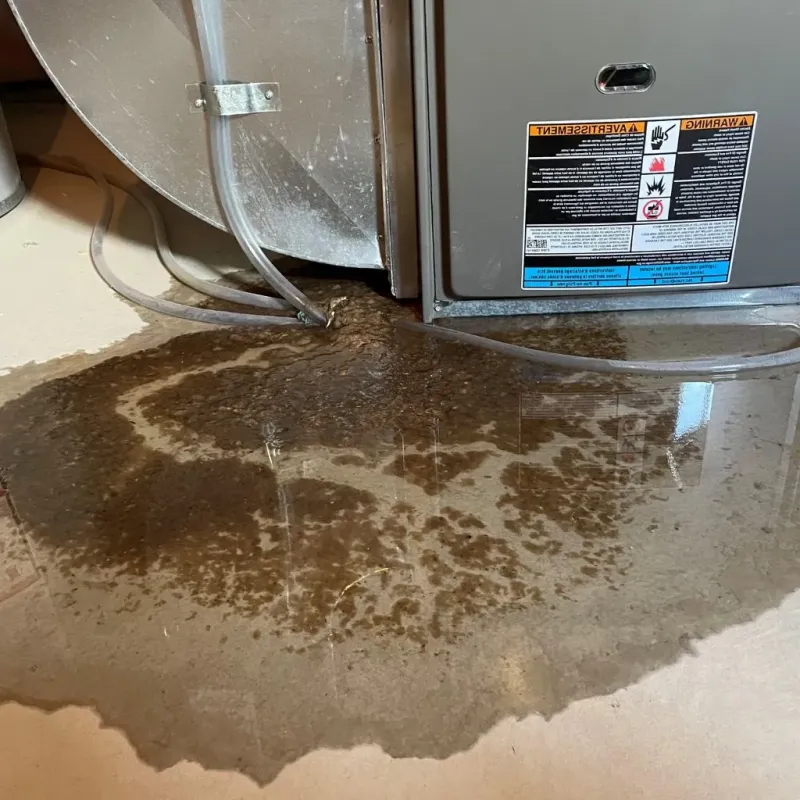 Pipe Burst and Leak Restoration in Marshall County, IL