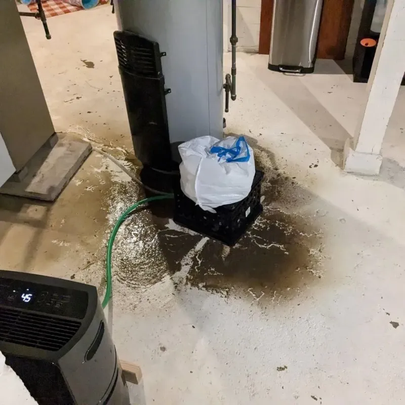 Sewage Backup Cleanup Service in Marshall County, IL